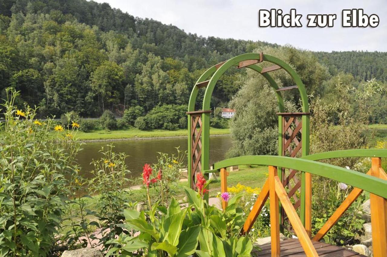 Campingplatz Am Treidlerweg Königstein an der Elbe Kültér fotó